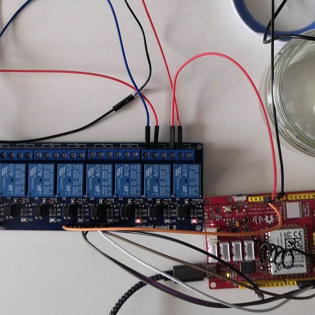 Smart Irrigation System